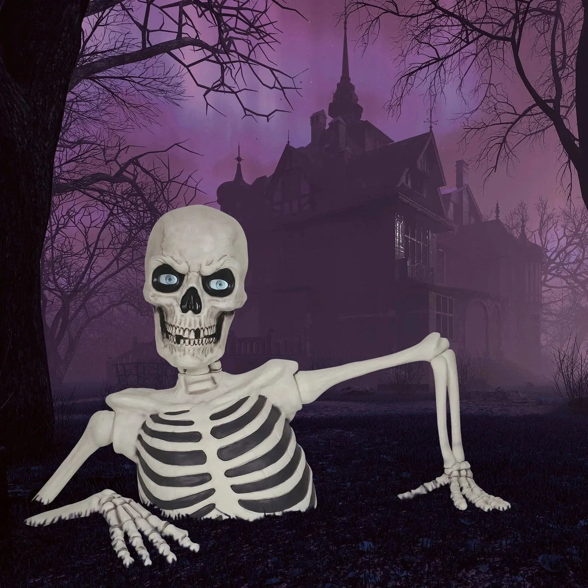 Halloween decorations